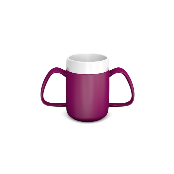 Blackberry Internal Cone Two Handled Mug
