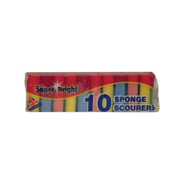 Sponge Scourer