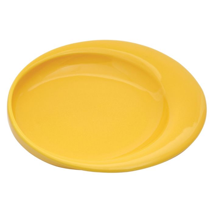 Dignity Plate 23cm Yellow - Case 6