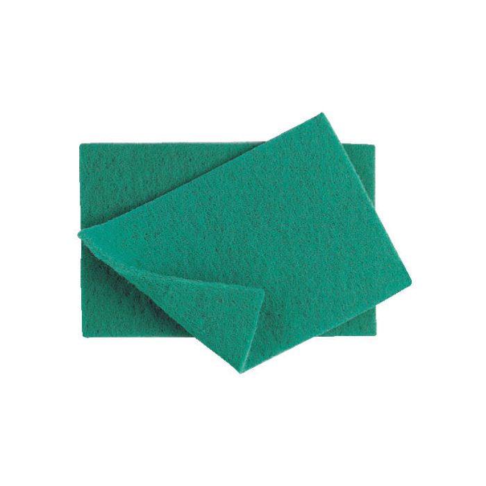 Catering Scourer