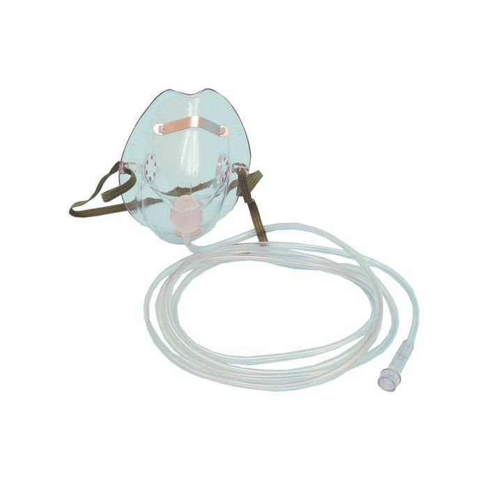 Hudson Facemask