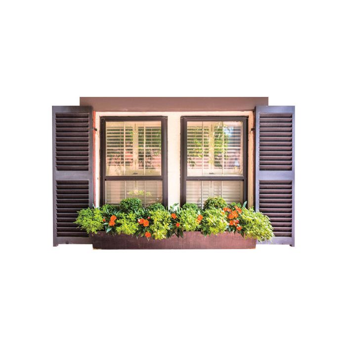 Shuttered Window Decal