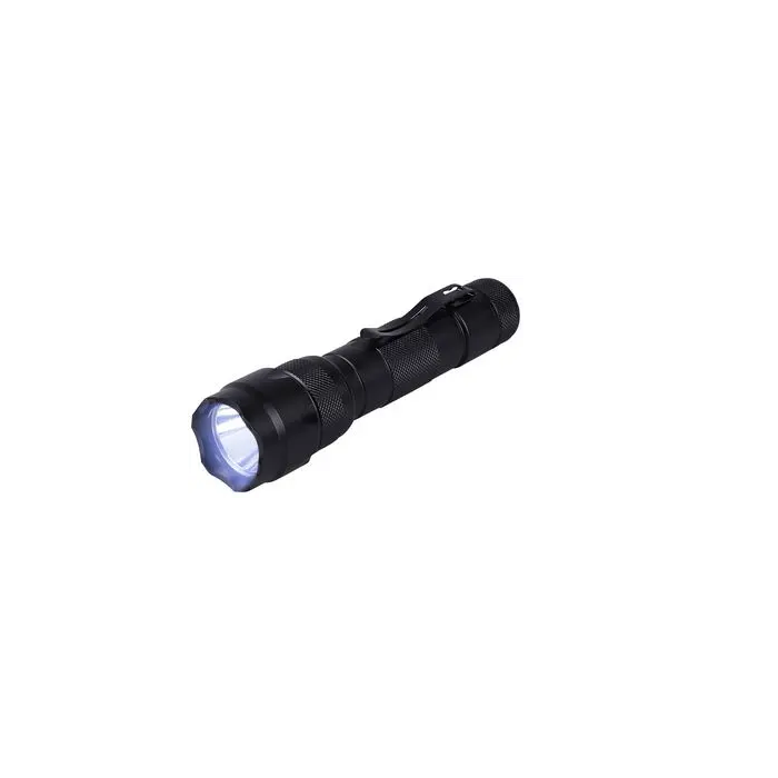UV Light and Torch 