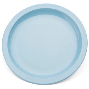 Dinner Plate - 23cm - Pale Blue