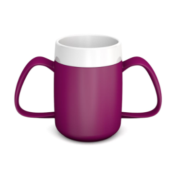 Blackberry Internal Cone Two Handled Mug