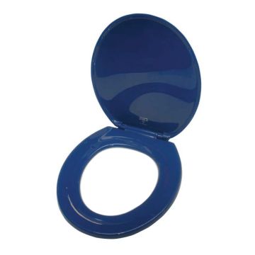 Standard Blue Toilet Seat