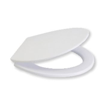 White Toilet Seat
