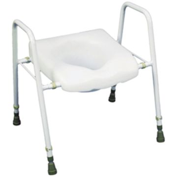 Combined Toilet Seat and Stand