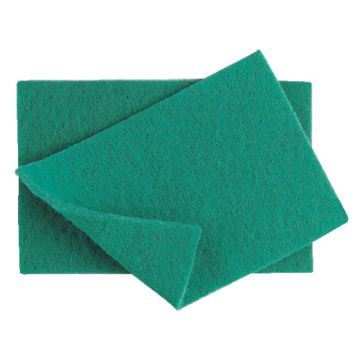 Catering Scourer