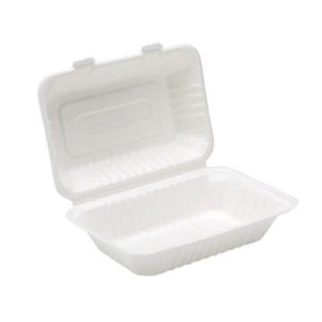 160mm x 230mm x 75mm Bagasse Food Box - Case 250