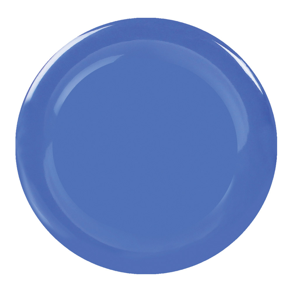 Blue Melamine Dinner Plate - 23cm