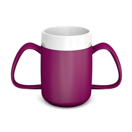 Blackberry Internal Cone Two Handled Mug