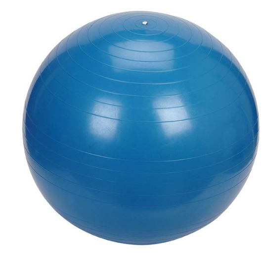 Gym Ball 65cm Blue - Each