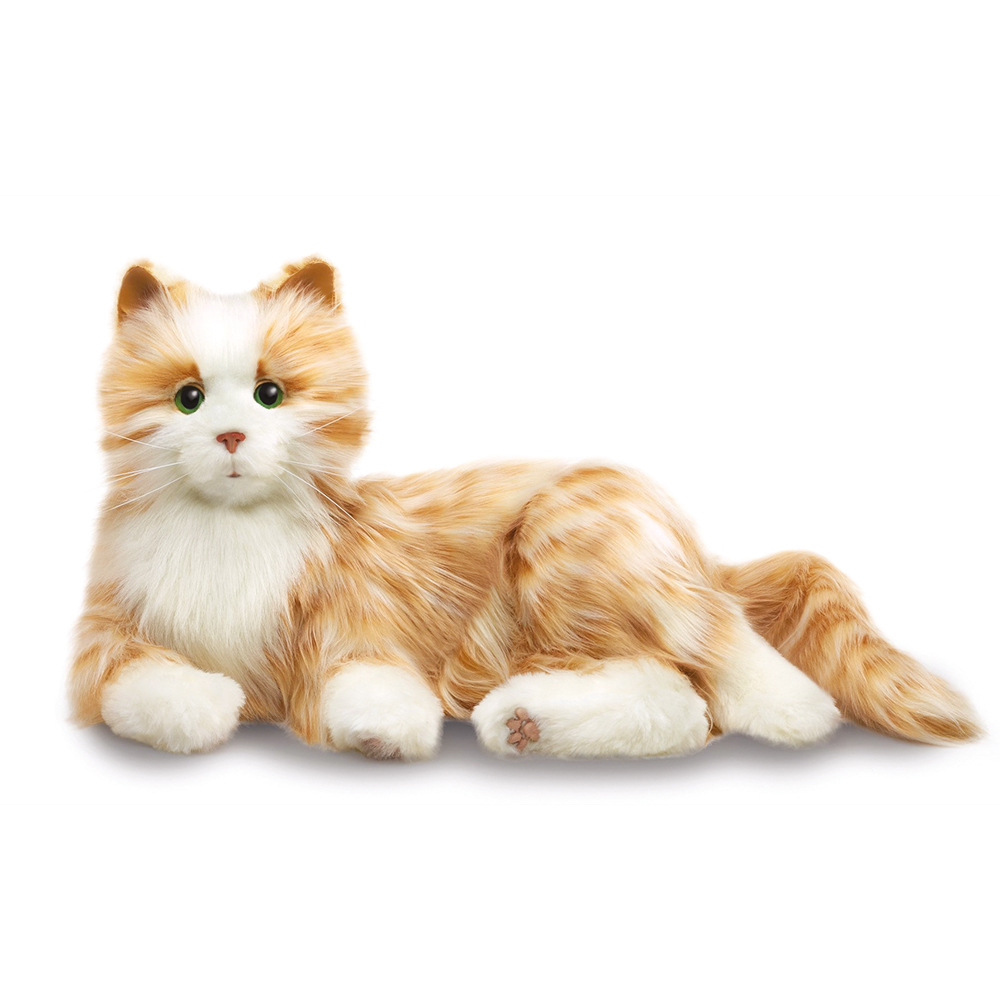 Therapy Cat Ginger & White - Each 