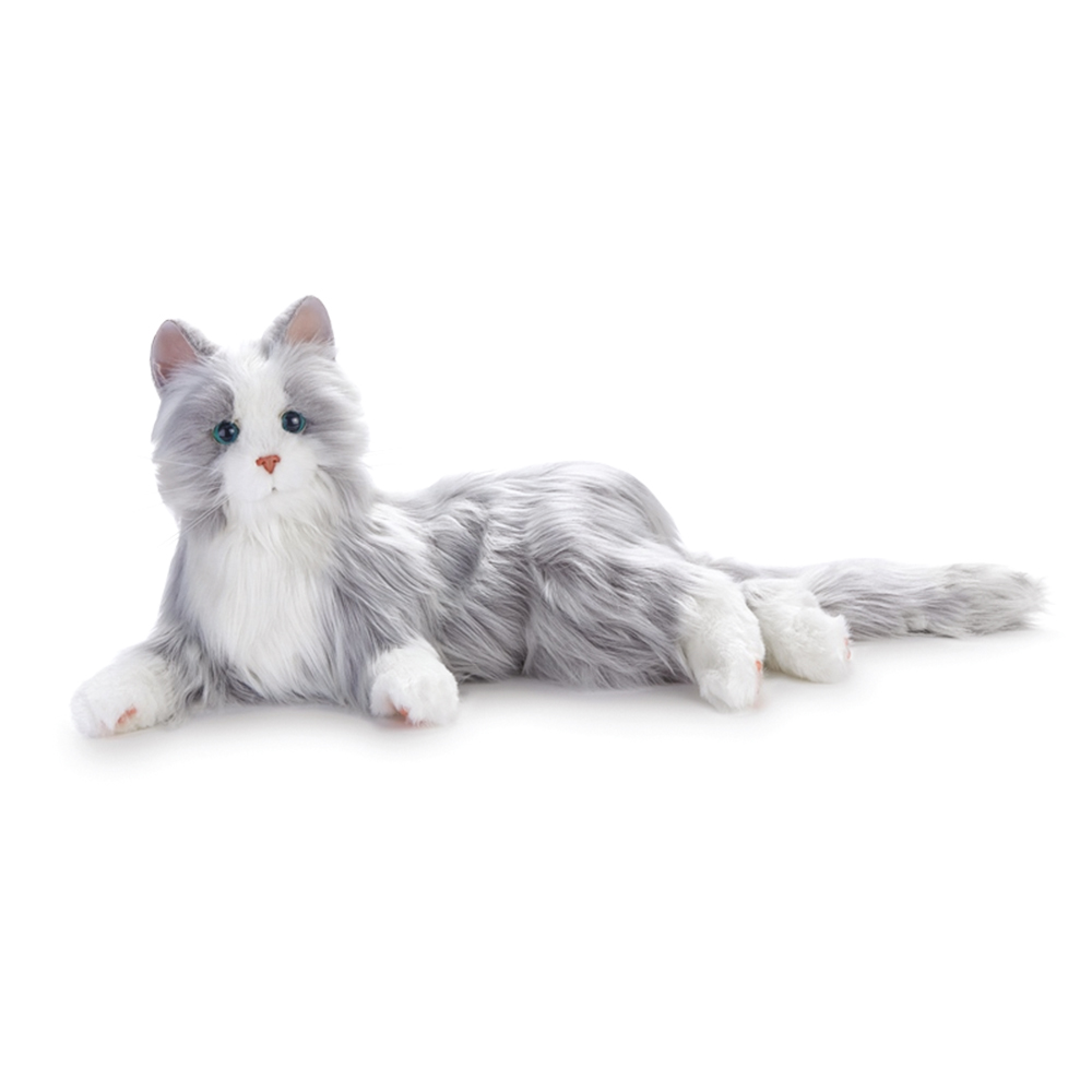 Therapy Cat Silver With White Mitts