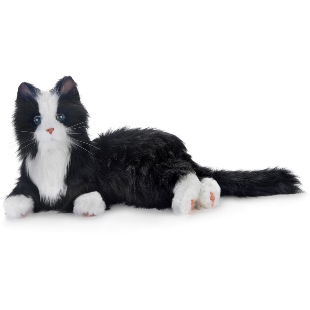 Therapy Cat Black With White Mitts